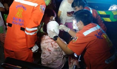 สยองพิตบูลหลุดบุกลากด.ญ. 6 ขวบจากเตียง ขย้ำคอ-หัวเจ็บสาหัส