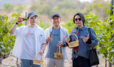 ชวนเชิญเที่ยวงาน  Monsoon Valley Harvest Festival 2025