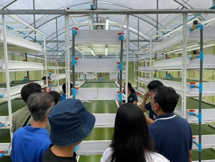 “จันทร์เรืองฟาร์ม (JR Farm)” ศูนย์บ่มเพาะเกษตรกรรุ่นใหม่เมืองขลุงต่อยอดผู้ประกอบการเกษตรในอนาคต