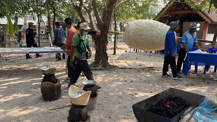 ชาวโพธิ์ศรีสุวรรณนึ่งข้าวเหนียวทำข้าวจี่ยักข์ร่วมงานบุญข้าวจี่มหัศจรรย์ของดีโพธิ์ศรีสุวรรณ 2568