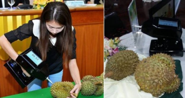 เตรียมพร้อมรับมือทุเรียนภาคตะวันออก ตรวจเข้ม สร้างความมั่นใจให้กับประเทศคู่ค้า