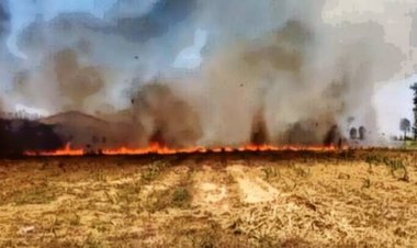 กระทรวงเกษตรฯหนุนชาวสวนตาก“ไถกลบใบอ้อย”ลดการเผาแก้ปัญหามลพิษยั่งยืน