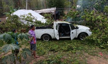 อากาศแปรปรวน ฝนตก ลมไม่มี ใบไม้ไม่ขยับ เสี้ยววินาที พายุถล่ม