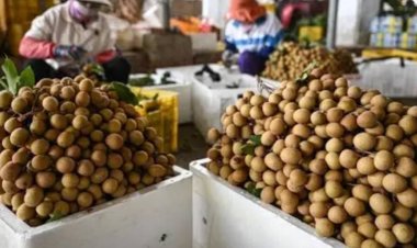 กระทรวงเกษตรฯเร่งขยายตลาดส่งออกลำไยสดไปฟิลิปปินส์