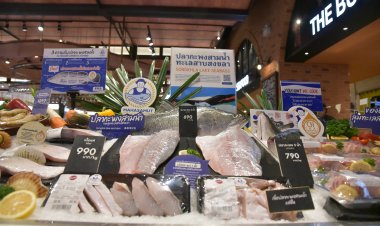 เล็งผลักดันสินค้าประมงท้องถิ่นสู่ High End Market