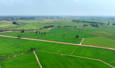 เปิดก๊อก!! ส่งน้ำเข้าทุ่งบางระกำ ให้เกษตรกรเริ่มเพาะปลูก 1 เมษาฯนี้