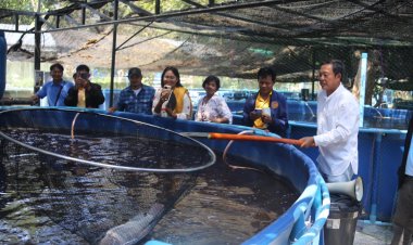 สนง.ประมงจังหวัดลพบุรีฯ เดินหน้าพัฒนาเสริมแกร่งเกษตรกรผู้เลี้ยงสัตว์น้ำของจังหวัดลพบุรี