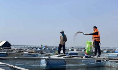 พายุฤดูร้อนกระหน่ำพัดปลาเลี้ยงเขื่อนลำปาวหลุดกระชังเสียหายหนัก