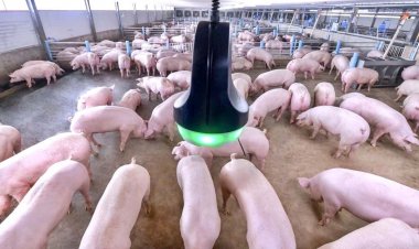 ‘ไบโอซีเคียวริตี้’ ระบบป้องกันโรคทางรอดเกษตรกร