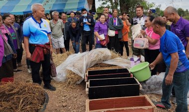 สอนชาวบ้าน'เพาะเห็ดฟาง'เอาไว้กิน-ขาย ลดการเผาฟางข้าว ไม่สร้างฝุ่น PM2.5