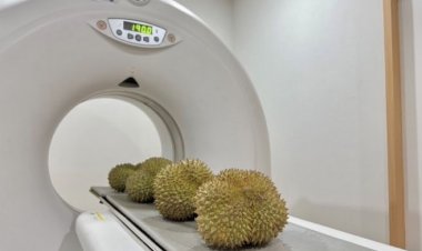 "ARDA สุดล้ำ สร้างเครื่อง  CT-Scan คัดทุเรียน “ไม่อ่อน-ไม่หนอน” เพียง 3 วินาที"