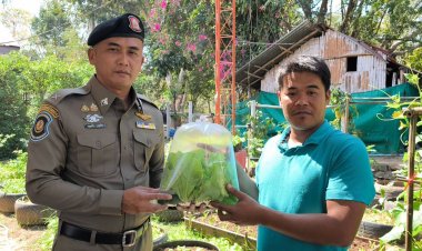 ตำรวจทางหลวงโคราช ปลูกผักสวนครัวกินเอง-แบ่งปัน ปชช. ฟรี