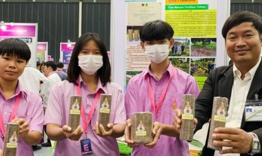 ปุ๋ยขี้วัวอัดแท่งลดต้นทุน ใช้ง่าย ขายคล่อง บำรุงดินร่วนซุย พืชผลโตเร็ว