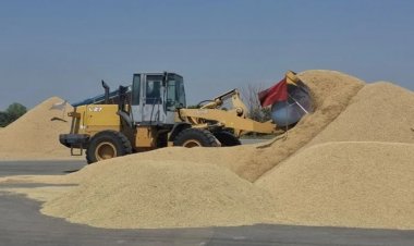 พาณิชย์อ่างทองเปิดตลาดนัดข้าวเปลือก "ผู้ซื้อมากราย ผู้ขายมีสิทธิเลือก"