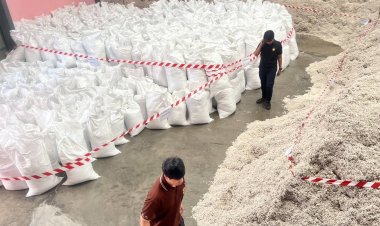 ฉก.พญานาคราชลุยจับเมล็ดฝ้ายเถื่อน 2.3 แสนกิโลกรัม