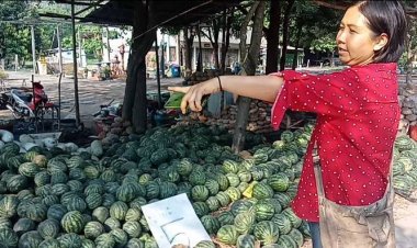 ผวาโจรย่องขโมยแม่ค้าริมถนนสายหนองฉาง-ลานสักต้องนอนเฝ้าผักผลไม้กองมหึมา