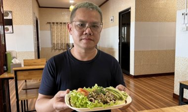 สุดเจ๋ง!เมนู "ไข่มดแดง" ราคาเทียบอาหารญี่ปุ่น สร้างรายได้ กก.ละนับพันบาท