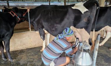 อ.ส.ค. ผนึก บสย. ขยายโอกาสทางการเงินหนุน SMEs-เกษตรกรผู้เลี้ยงโคนม