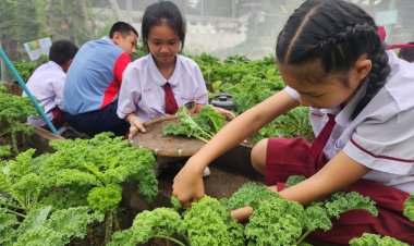 ปลูกฝังแต่เด็ก !!! โรงเรียนดรุณวิทยา เทศบาลเมืองน่าน  ปั้นเกษตรกรอินทรีย์น้อย เสริมโภชนาการ พัฒนาเศรษฐกิจครัวเรือน
