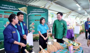 ชูสร้างอัตลักษณ์ข้าวหอมมะลิไทย สู่ตลาดโลกอย่างยั่งยืน