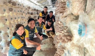 "หนองบัวลำภู" ชูเห็ดพืชเศรษฐกิจแก้จน แต่ละปีโกยรายได้มากกว่า 100 ล้าน