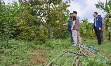 ลุยรื้อถอนสิ่งปลูกสร้าง คดีบุกรุกป่า ปลูกทุเรียนบนเกาะเขื่อนคีรีธารกว่า 260 ไร่