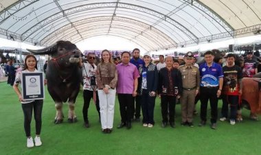 "ซาบีดา"รมช.มหาดไทยเปิดงาน"เทศกาลควายไทยอุทัยธานี"สร้างมูลคาเพิ่มกระบือไทย