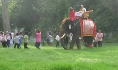 ส่องวิถีชีวิตชนเผ่าส่วยในจังหวัดสุรินมร์ เลี้ยงช้างไว้รับจ้าง แห่นาค