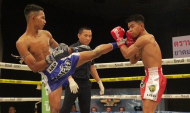 "พลายพยัคฆ์" ผ่านเข้ารอบ 8 คน ศึกมวยรอบปูนเสือ มวยไทยพันธุ์แท้ ครั้งที่ 24