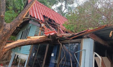 พายุฤดูร้อนถล่มบัวใหญ่บ้านเรือนพัง 20 หลัง โรงเรียนประถมเสียหายทั้งหลัง