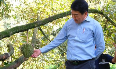 กรมส่งเสริมสหกรณ์ วาง 3 มาตรการ คุมคุณภาพผลไม้ภาคตะวันออก คาดปีนี้ทะลุ 1.4 ล้านตัน