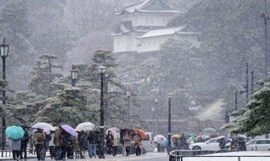 โตเกียวเผชิญหิมะหลงฤดู เตือนประชาชนรับมือสภาพอากาศรุนแรง