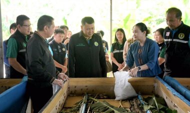 ดันกลุ่มแปลงใหญ่จิ้งหรีดสุพรรณบุรีสู่ “1 ท้องถิ่น 1 สินค้าเกษตรมูลค่าสูง”