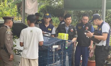 บุกค้นบ้านพักย่านหนองจอก รวบหนุ่มครอบครองสัตว์ป่าใกล้สูญพันธุ์หลากชนิด