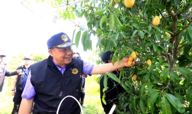 ชูวิสาหกิจชุมชนสวนเกษตร ส.บุญมีฤทธิ์ กาญจนบุรี ยกระดับคุณภาพชีวิตที่ดีขึ้น