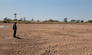 บุรีรัมย์ประกาศ!! พื้นที่ประสบภัยแล้ง 7 อำเภอ ขอความร่วมมือชาวนางดทำนาปรัง