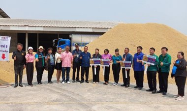 พาณิชย์สิงห์บุรีเปิดตลาดนัดขายข้าวเปลือกช่วยเหลือชาวนาเดือดร้อนราคาตกต่ำ