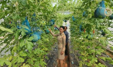 ต้นแบบเกษตรยุคใหม่!ปลูกแตงโมนอนเปล ฉีกหนีคู่แข่ง เพิ่มมูลค่า
