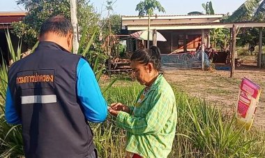 สีกาหวาดผวาพระย่องมาหากลางดึกอ้างมา วานสีกาไปซื้อยาแก้ยอก