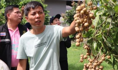 กรมส่งเสริมสหกรณ์เดินหน้าส่งเสริมเกษตรอัตลักษณ์พื้นถิ่นของสหกรณ์/กลุ่มเกษตรกร