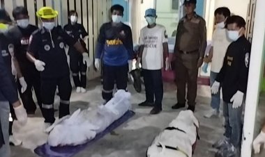 หนุ่มใหญ่เครียดแทงกิ๊กสาวดับ ก่อนกินยาไวอากร้าเกินขนาดหัวใจวายตายตาม