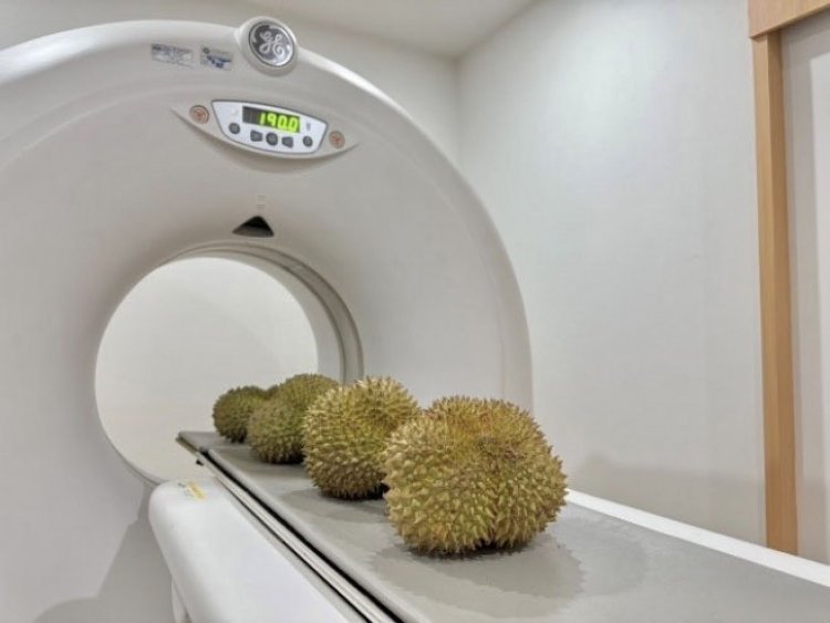 "ARDA สุดล้ำ สร้างเครื่อง CT-Scan คัดทุเรียน “ไม่อ่อน-ไม่หนอน” เพียง 3 วินาที"