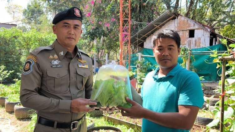 ตำรวจทางหลวงโคราช ปลูกผักสวนครัวกินเอง-แบ่งปัน ปชช. ฟรี