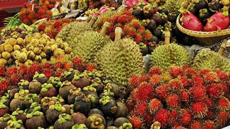 ชาวสวนผลไม้ใต้ลุยเปิดศูนย์รับซื้อส่งป้อนเครือข่ายทั่วไทยรับมือผลผลิตล้นตลาด