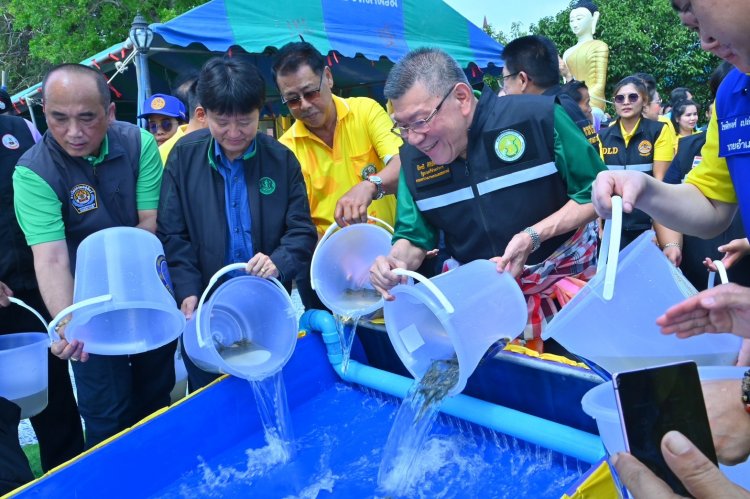 ปล่อยพันธุ์กุ้งก้ามกราม ฟื้นฟูระบบนิเวศ“แม่น้ำบางปะกง”