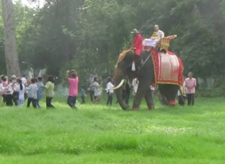 ส่องวิถีชีวิตชนเผ่าส่วยในจังหวัดสุรินมร์ เลี้ยงช้างไว้รับจ้าง แห่นาค