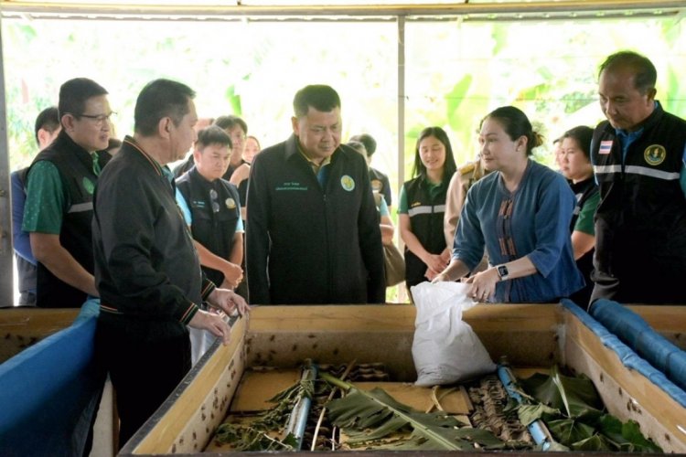 ดันกลุ่มแปลงใหญ่จิ้งหรีดสุพรรณบุรีสู่ “1 ท้องถิ่น 1 สินค้าเกษตรมูลค่าสูง”