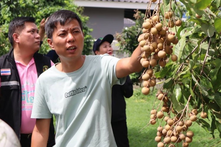 กรมส่งเสริมสหกรณ์เดินหน้าส่งเสริมเกษตรอัตลักษณ์พื้นถิ่นของสหกรณ์/กลุ่มเกษตรกร