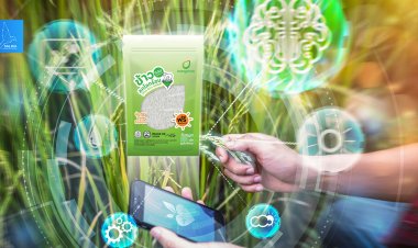 อนาคตเกษตรไทย‘ข้าวคาร์บอนต่ำ’ลดต้นทุน-ลดโลกร้อน ขยายตลาดพรีเมียม