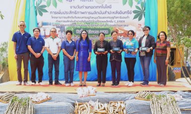 "อุบลไบโอ" จับมือรัฐ ชูเทคโนโลยี "ขุด ขาย ปลูก" หนุนเกษตรกรทำไร่มันอินทรีย์